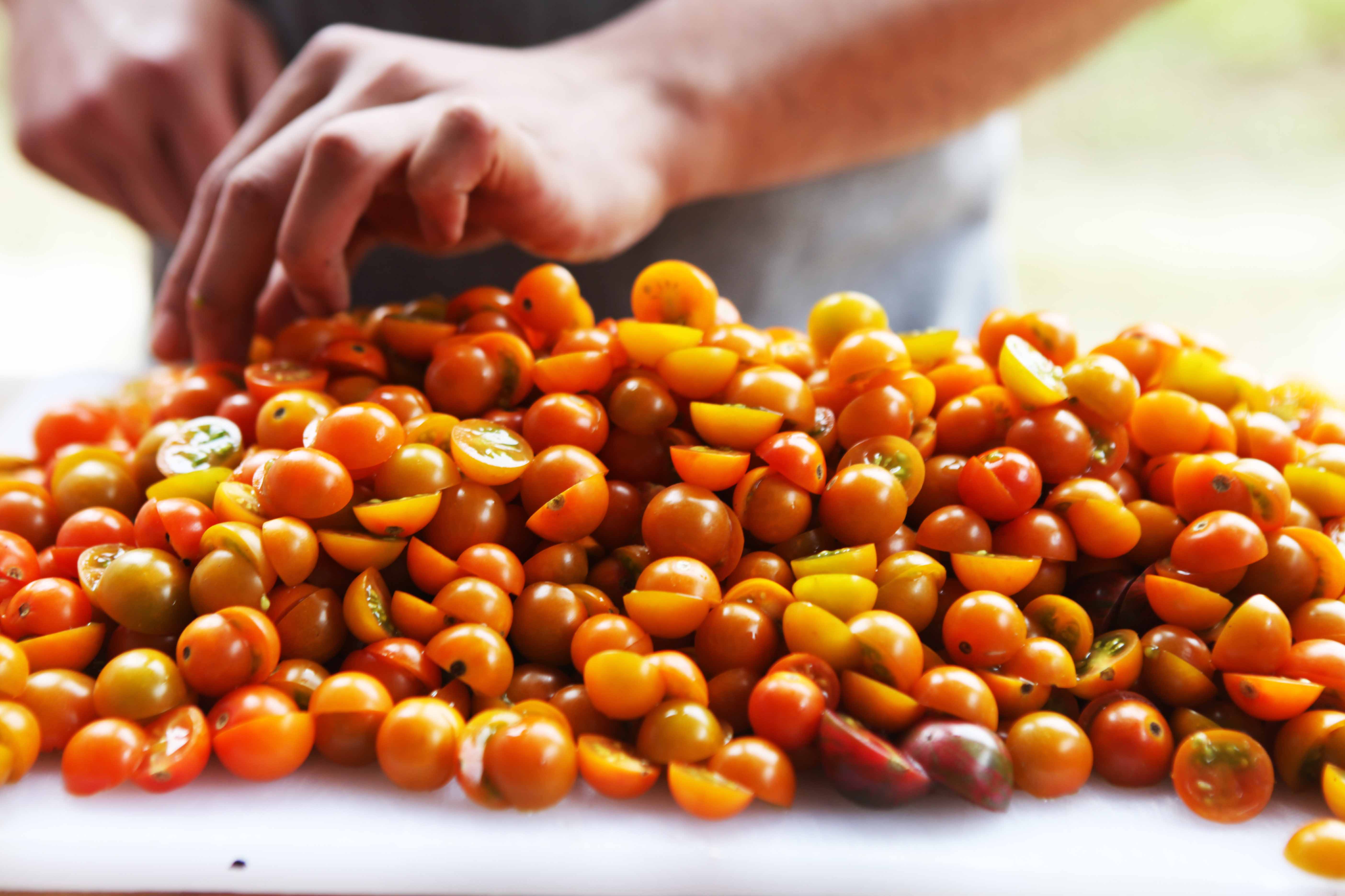 Cherry-Tomatoes