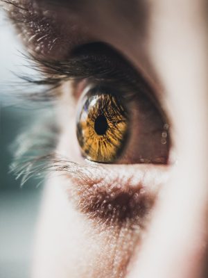 VISIONNAIRE