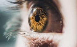 VISIONNAIRE